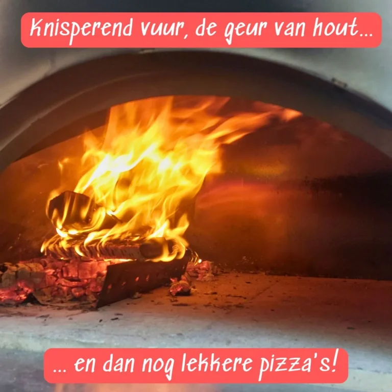 Houtgestookte-pizzaoven-2